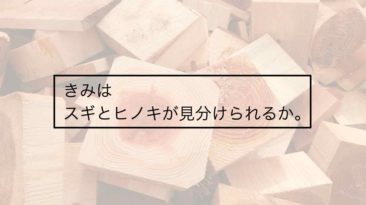 製材所で木材の話を聞いたら木の家が建てたくなった 国産材 かじとりズム