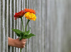 花を差し出す手